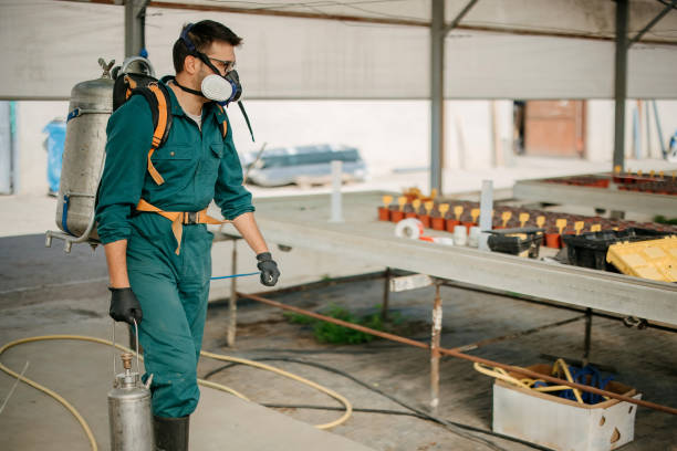 farmer applying pesticides in a greenhouse farmer applying pesticides in a greenhouse